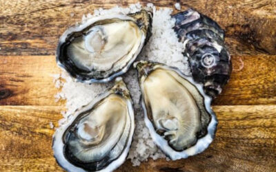 Pourquoi les huîtres Gillardeau aux Petits Plats du Bourbon ?